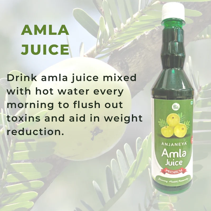 Paithan Eco Foods Anjaneya Amla Juice - 500 ml - Boosts Skin &amp; Hair Health-3