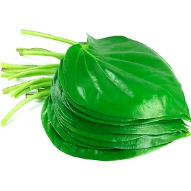 BETEL LEAF
