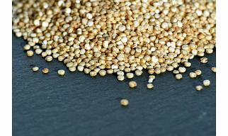 Barnyard Millet