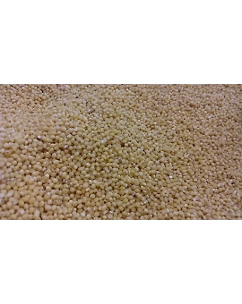 Browntop Millet