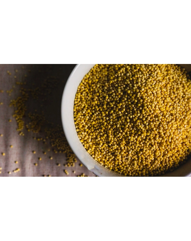 Foxtail Millet-Agri1005