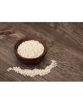 Sesame seed