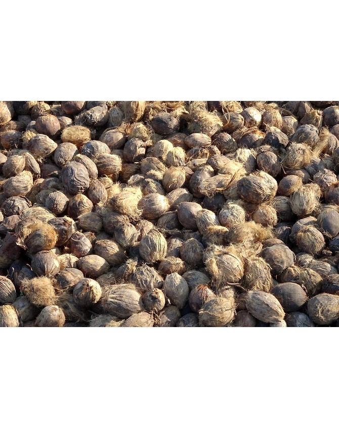 Black Pepper Whole-Agri1014