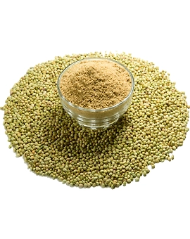 Coriander whole