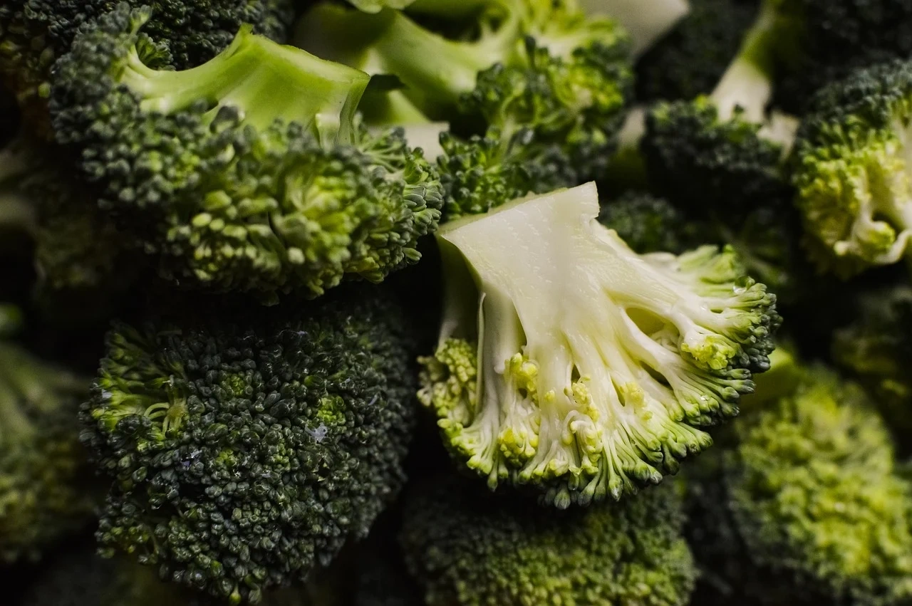 Broccoli/Calabrese-Agri1028