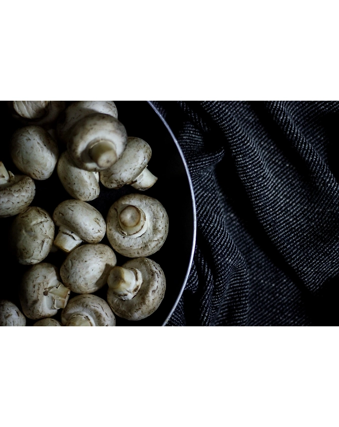 Button Mushroom-Agri1029