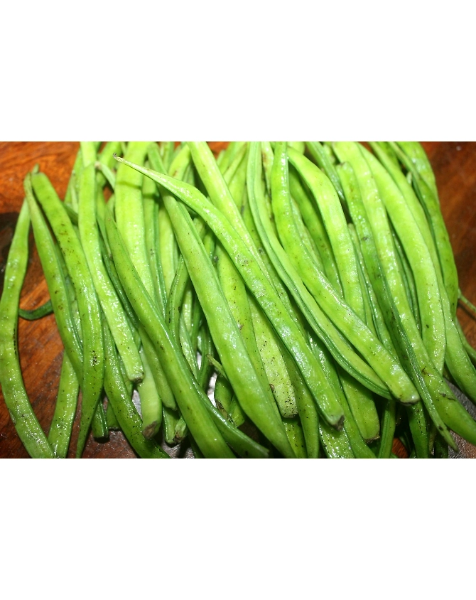 Cluster beans-Agri1034