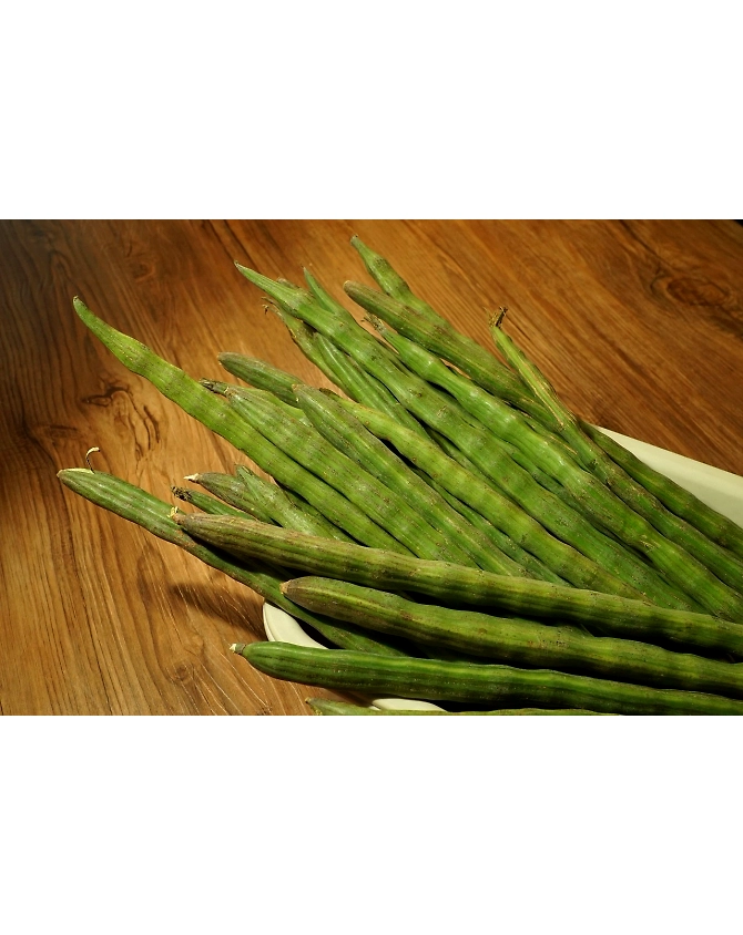 Drumstick-Agri1038