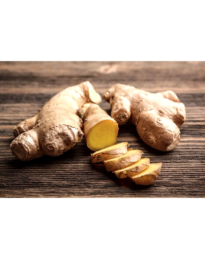 Ginger-Agri1040