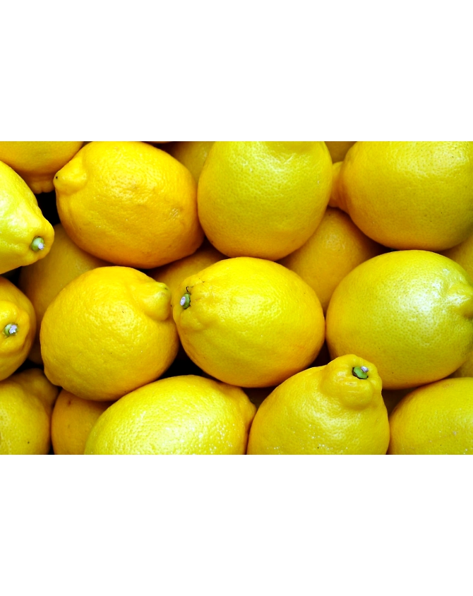 Lemon-Agri1056