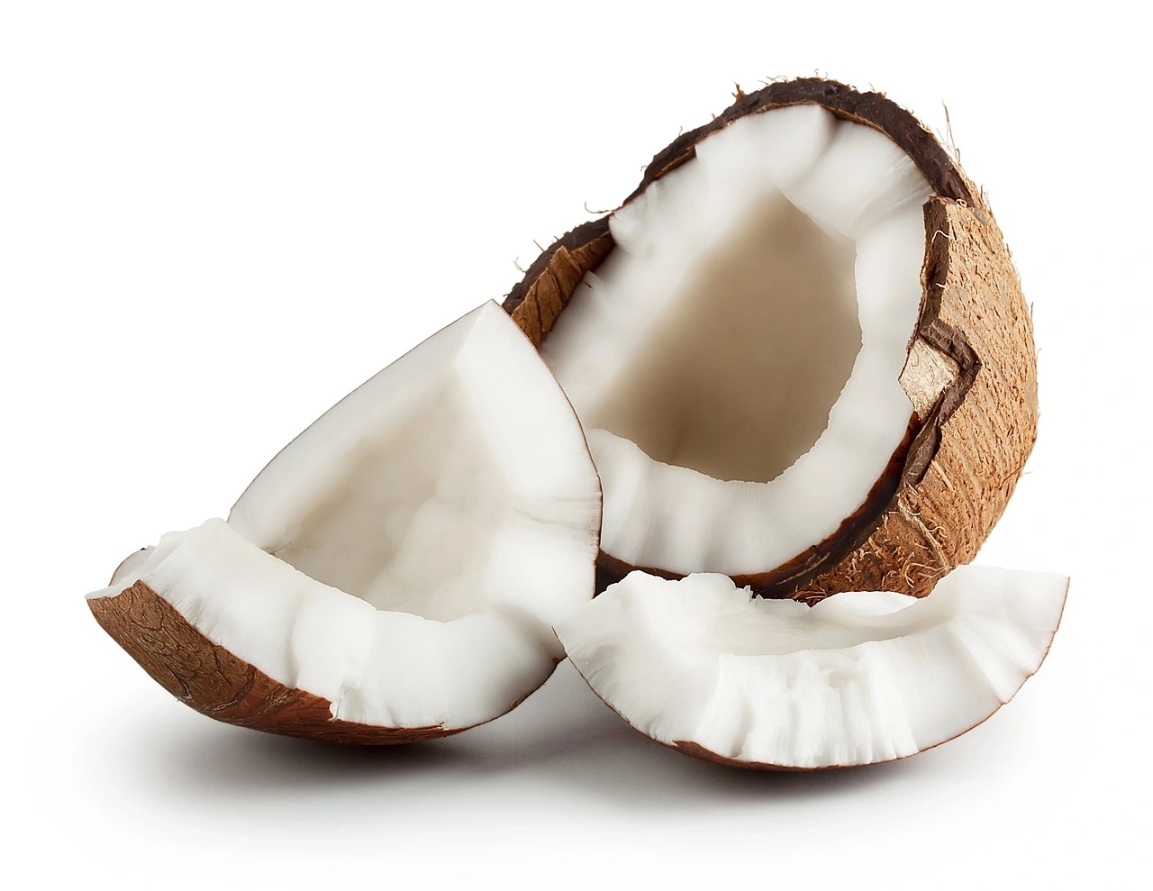 Coconut-Agri1065