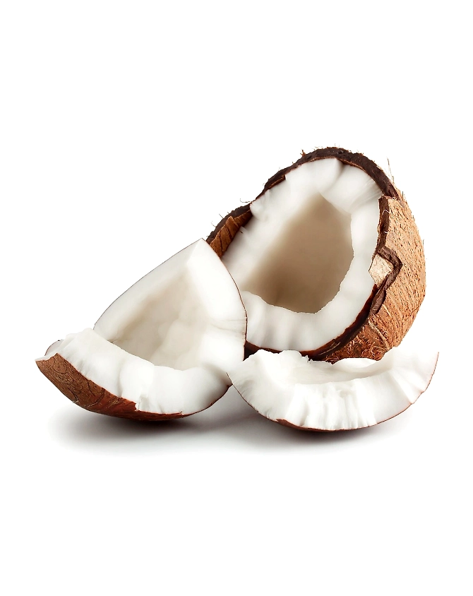 Coconut-Agri1065