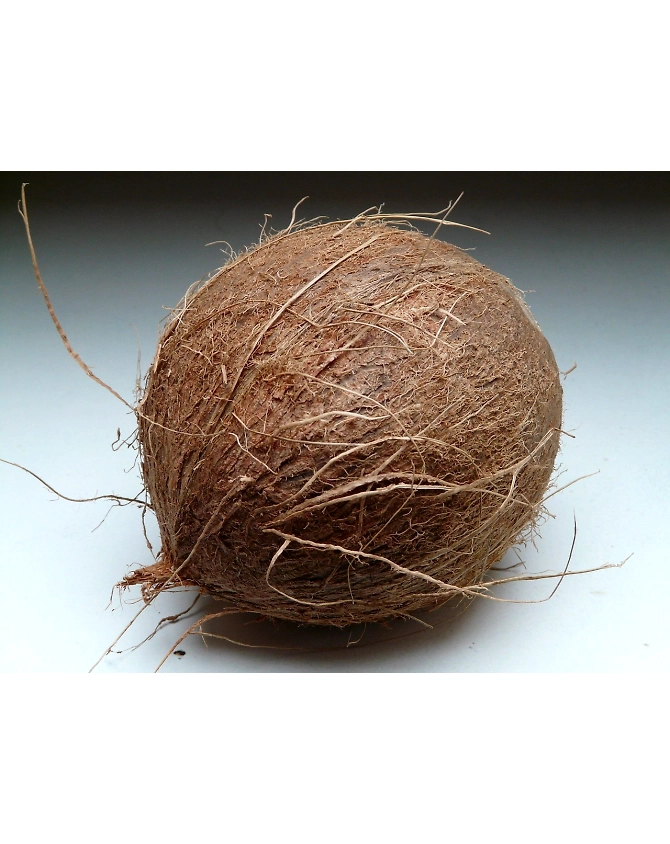 Coconut with Husk-Agri1066