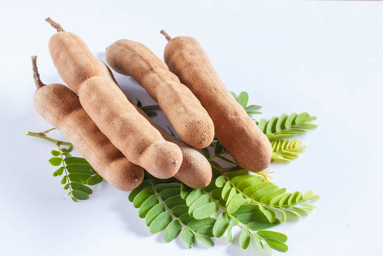 Tamarind-Agri1069