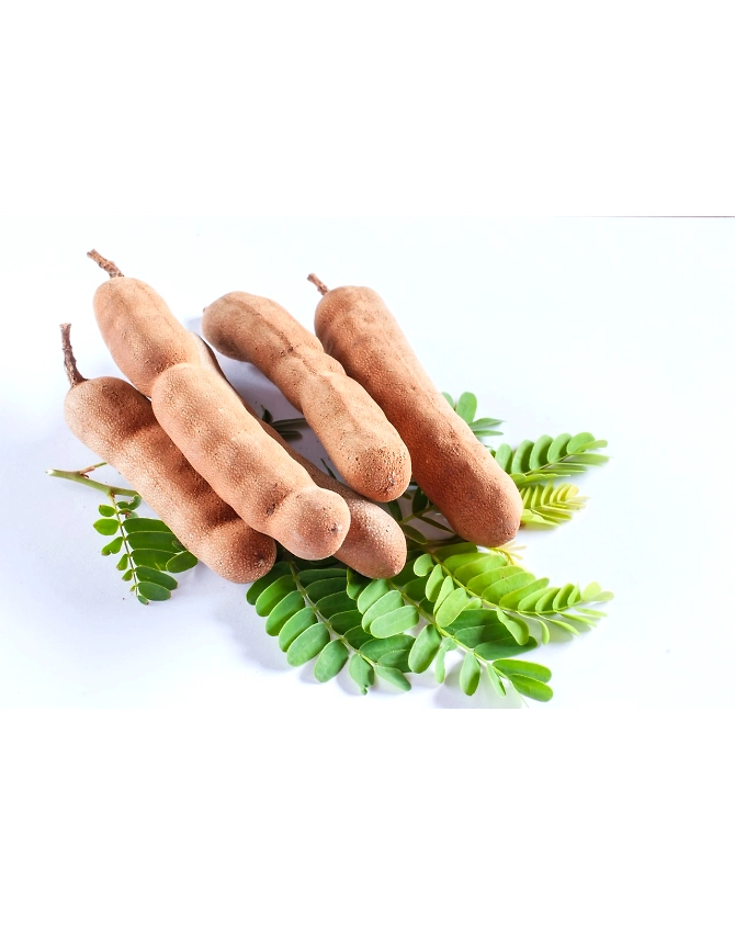 Tamarind-Agri1069