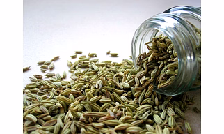 Fennel seed