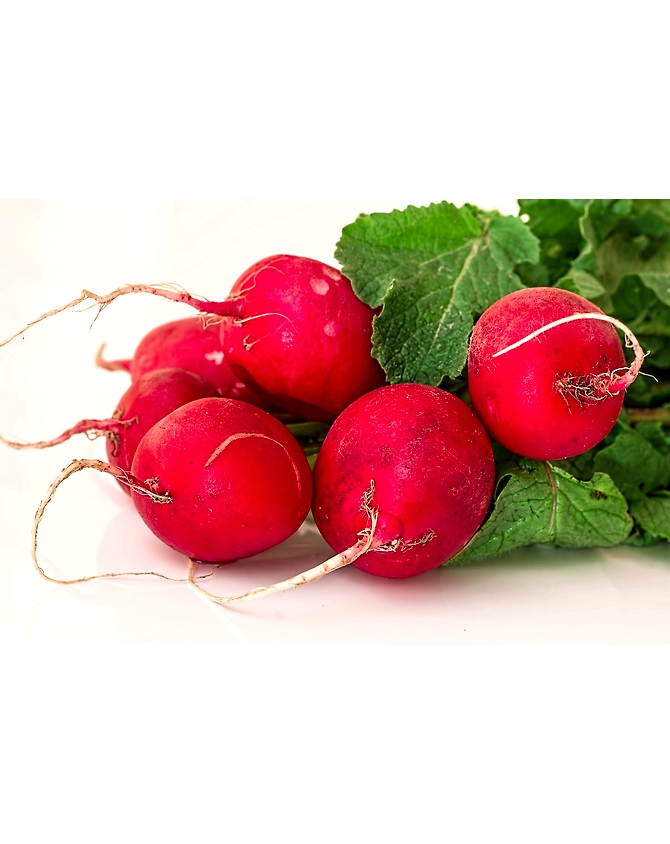 Reddish-Agri1046