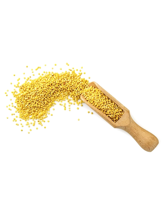 Kodo Millet-2