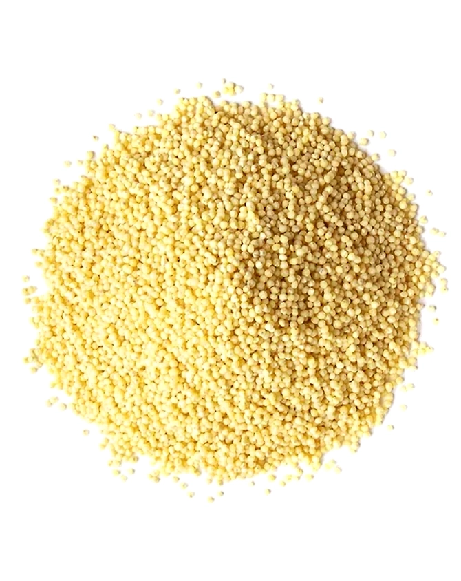 Proso Millet-2