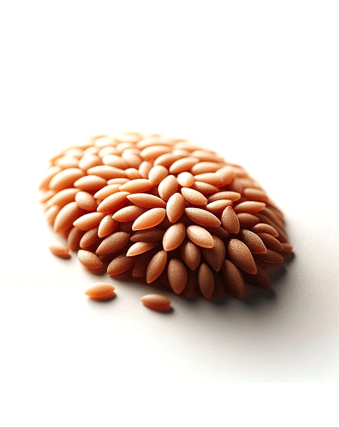 Sesame seed-2