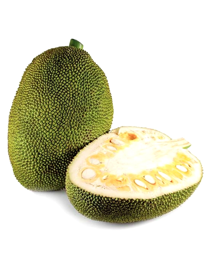 Jackfruit-1