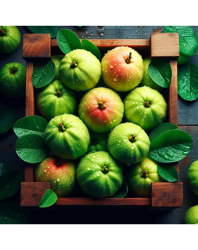 Guava-1