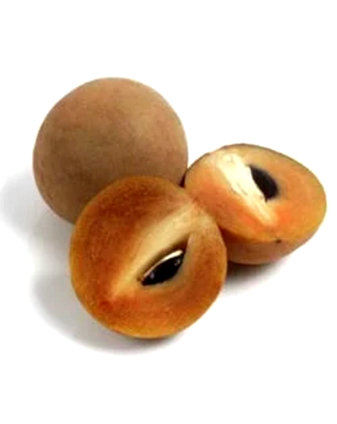 Sapota-2