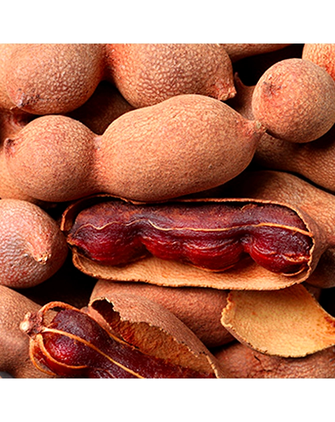 Tamarind-1