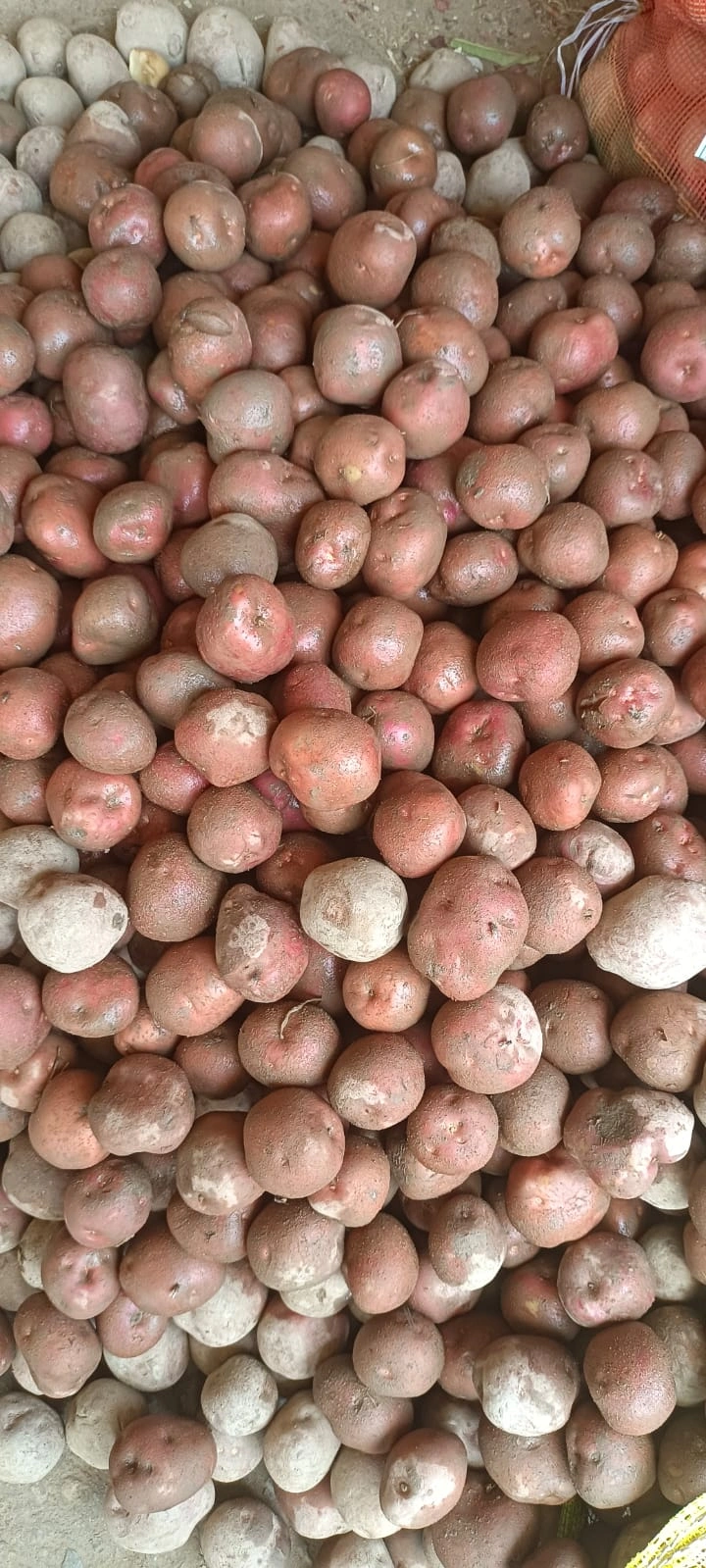 LR Potatoes-2