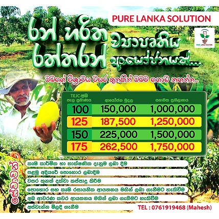 Social Media Banner Design-2
