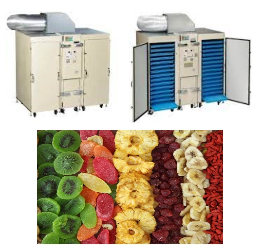 Electric Food Dryer With Finished Goods-2