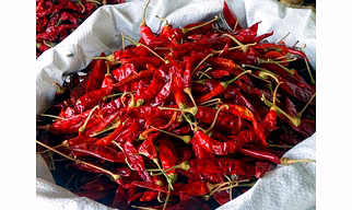 Mankat Teja Chilli