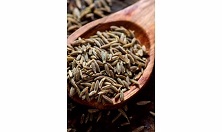 Cummin Seeds
