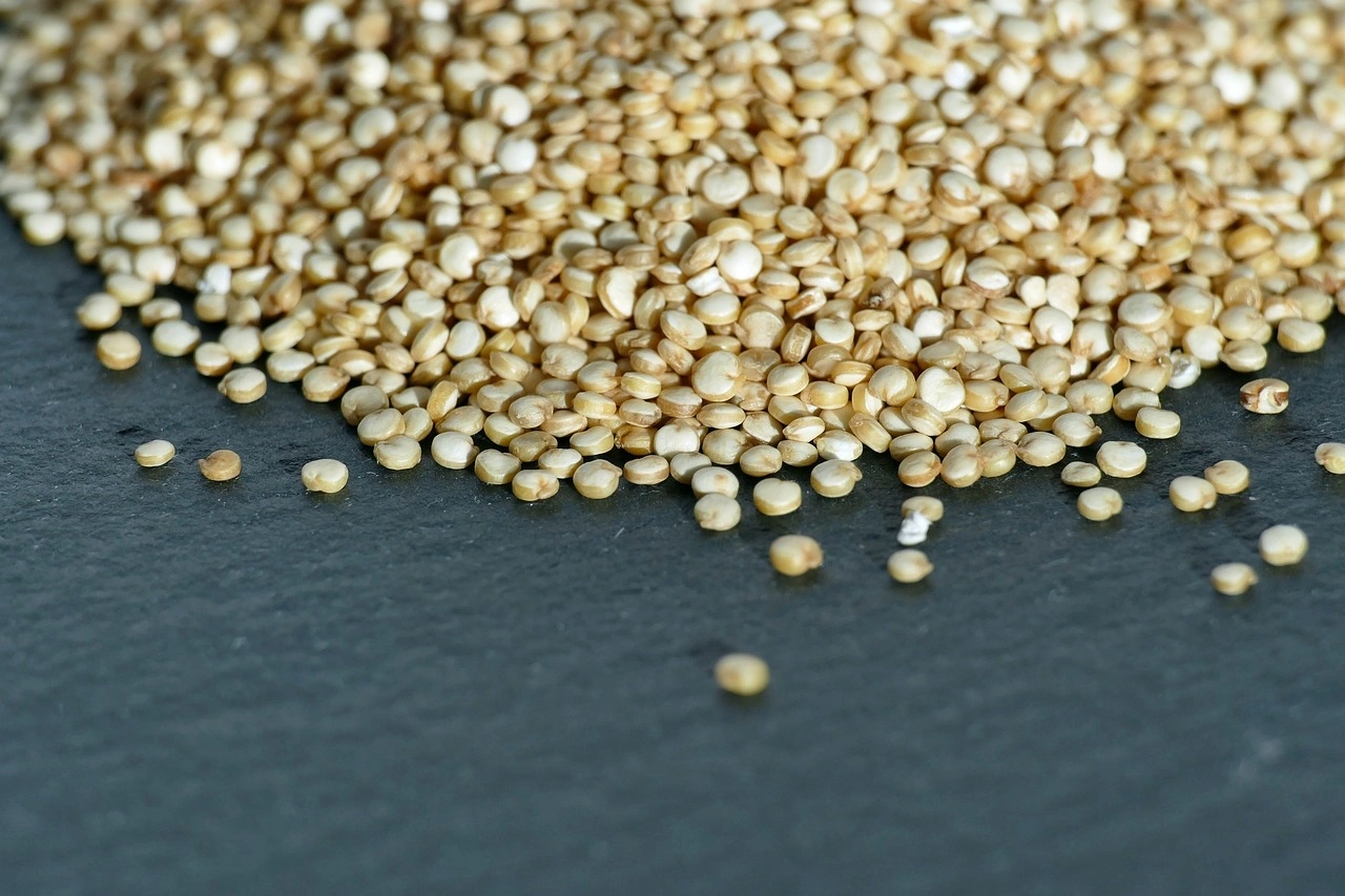 Barnyard Millet-Sev1022