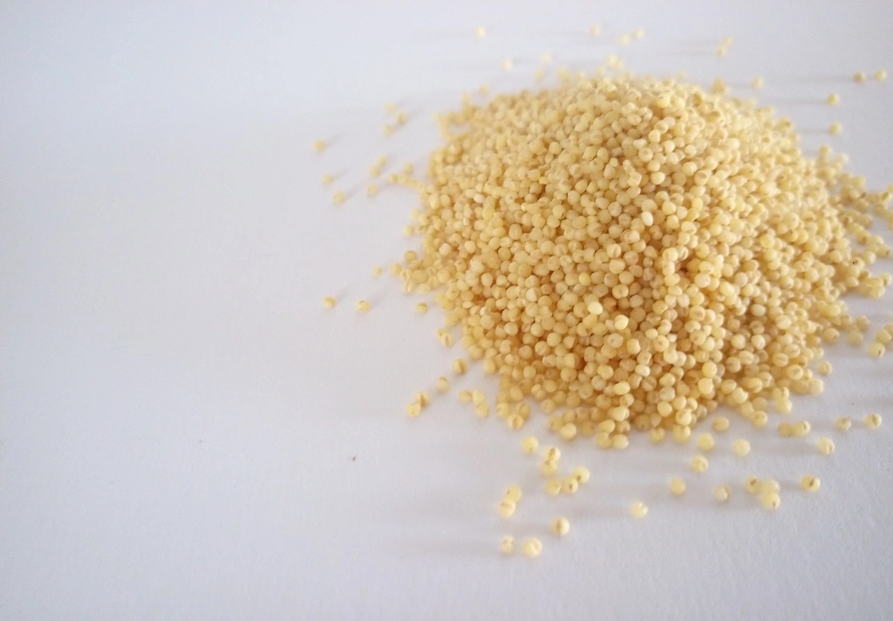 Kodo Millet-Sev1023