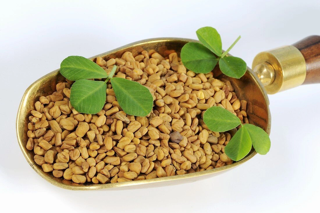 Fenugreek Seeds-Sev1009