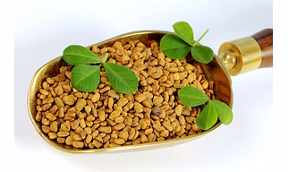 Fenugreek Seeds