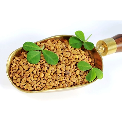 Fenugreek Seeds