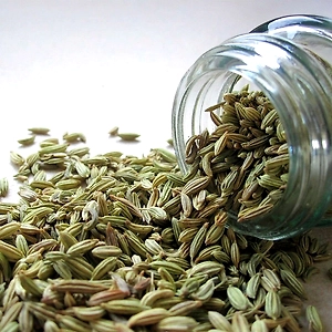 Fennel Seeds Powder