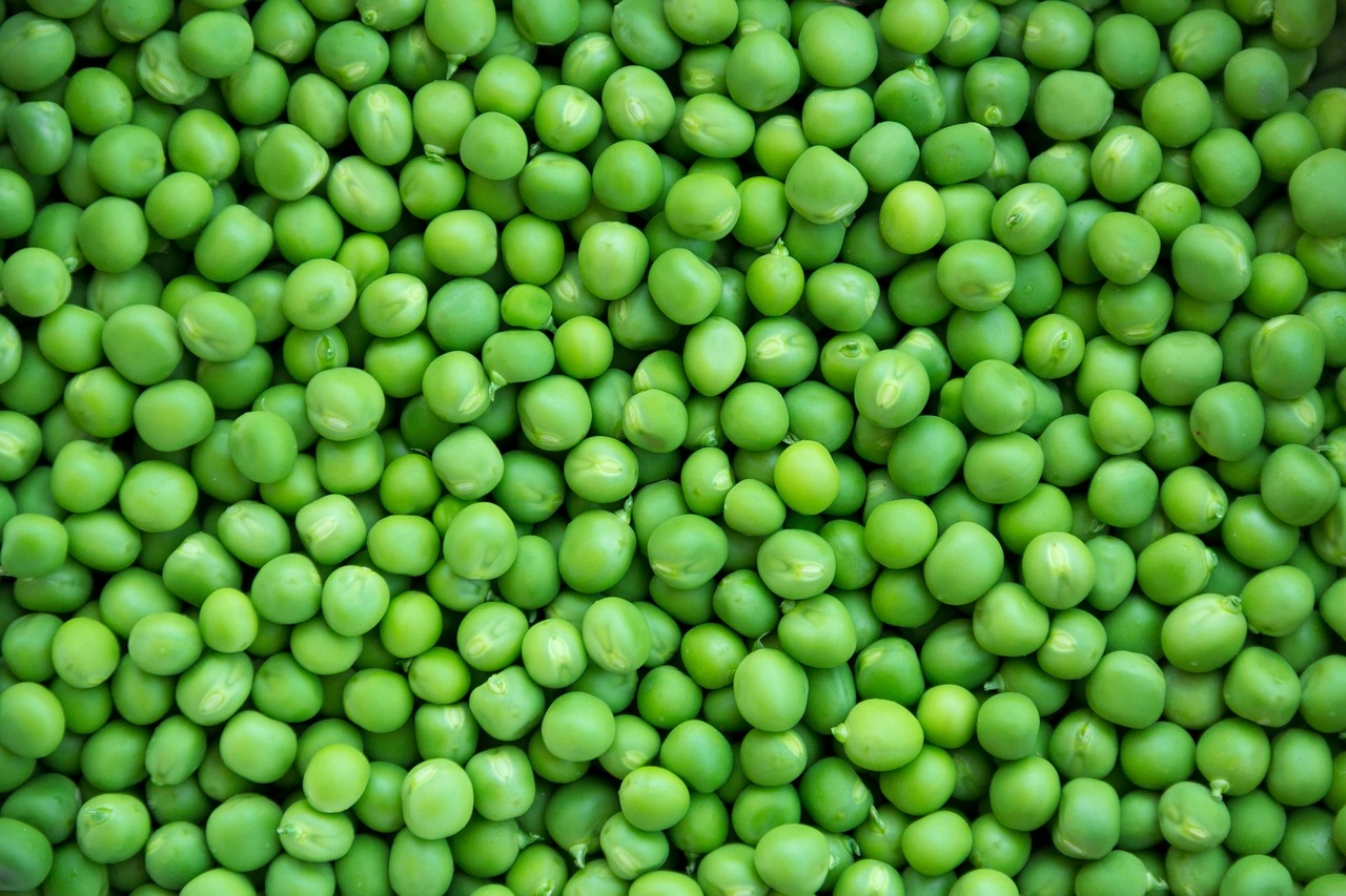 Green Peas-Har1102