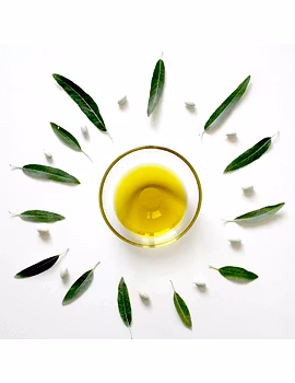 Kokum oil-Agri1151-sm