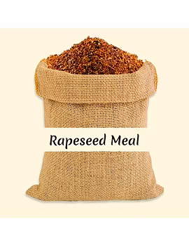 Rapeseed Meal-Agri1156-sm