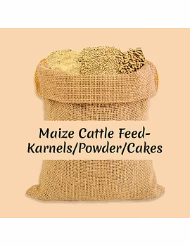 Maize Cattle Feed- Karnels/Powder/Cakes-Agri1157-sm