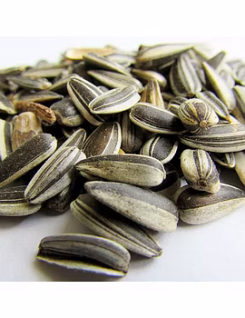 Sunflower Seeds-Agri1161-sm