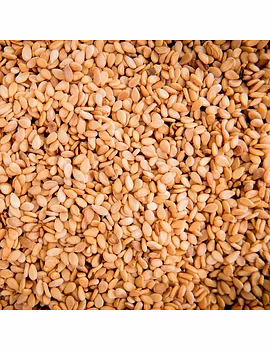 Seasme Seeds-Agri1163-sm