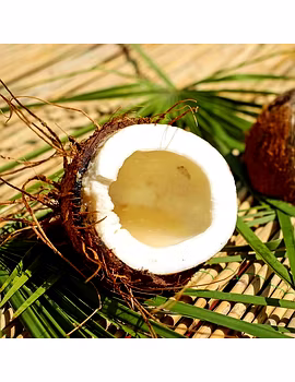 Coconut-Agri1168-sm