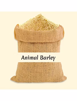 Animal Barley-Agri1170-sm