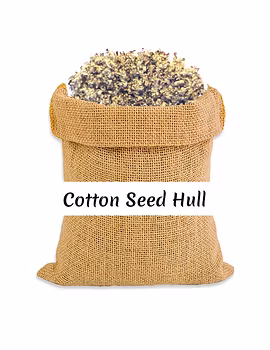 Cotton Seed Hull-Agri1171-sm