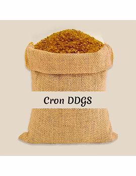 Cron DDGS-Agri1172-sm