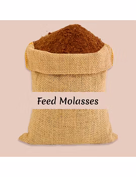 Feed Molasses-Agri1174-sm